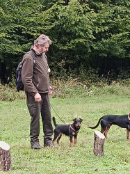 IMG 20250927 082609 S